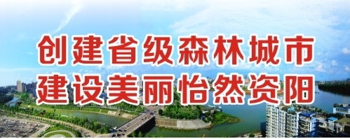 操操操逼网哪里创建省级森林城市 建设美丽怡然资阳